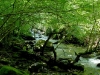 Umito_7