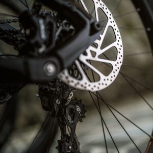 Noleggio ebike - La volpe bianca