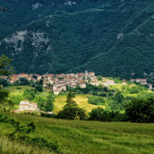 Paggese