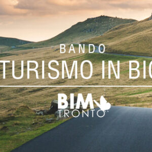 La volpe Bianca Tour Esperti della Filiera del Legno - Bim Tronto