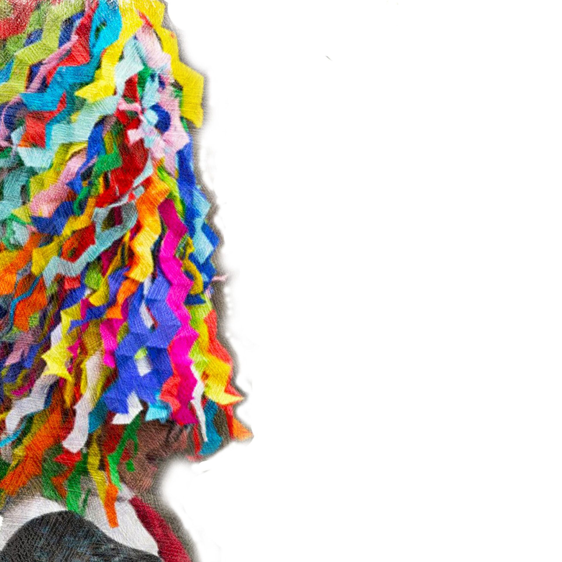 Carnevale Storico Piceno Lu Zann